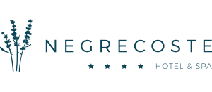 HOTEL NEGRECOSTE