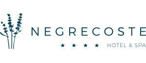 HOTEL NEGRECOSTE